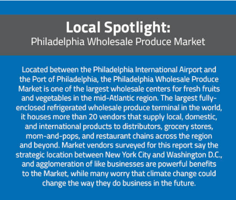Description of Philadelphia Wholesale Produce Market