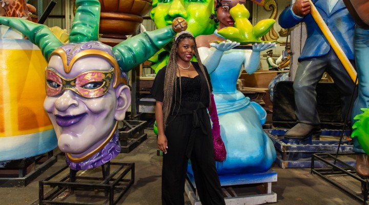 Mardi Gras world
